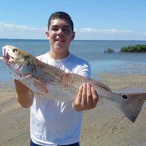 Meet your Posher, Fabian