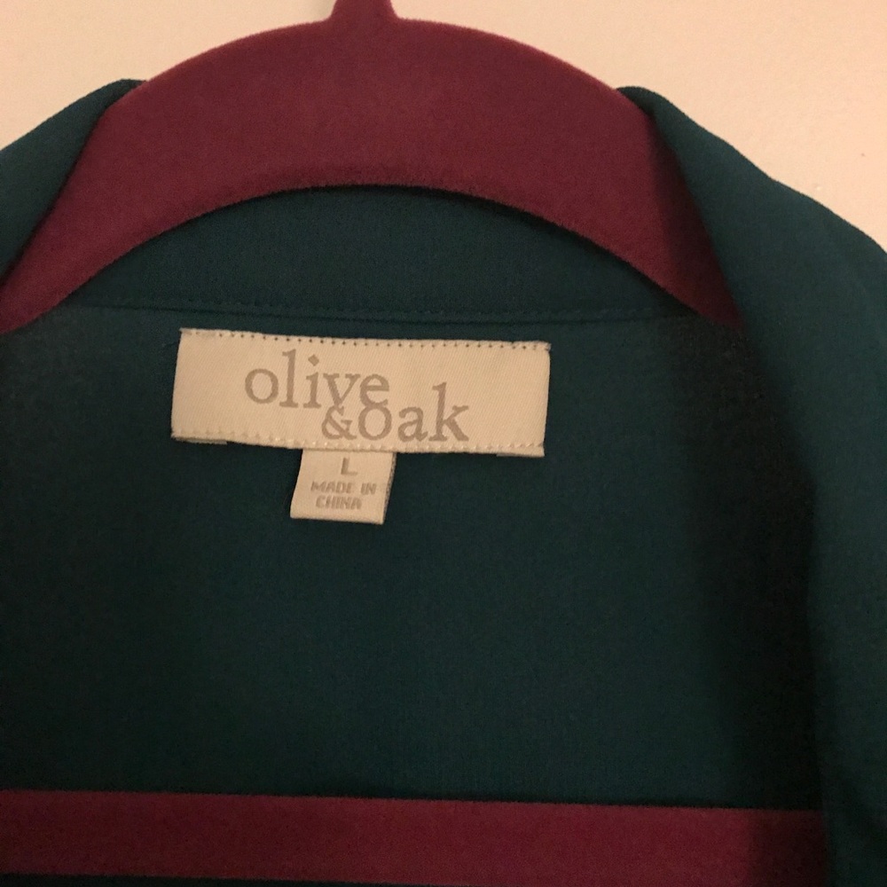 Sheer green Olive & Oak blouse