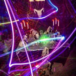 Meet your Posher, Carla