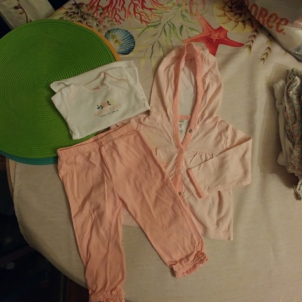 Carter's baby girl matching sets 12 months