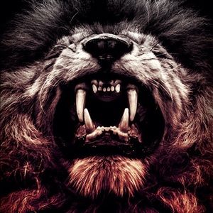 Meet your Posher, Fredi