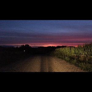 Meet your Posher, Noelle