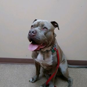 Meet your Posher, Latisha