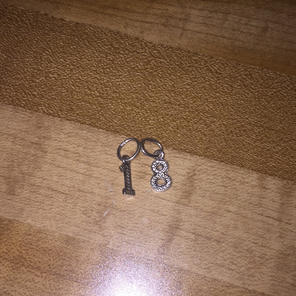 Pandora 18 charms