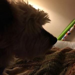 Meet your Posher, Lisa