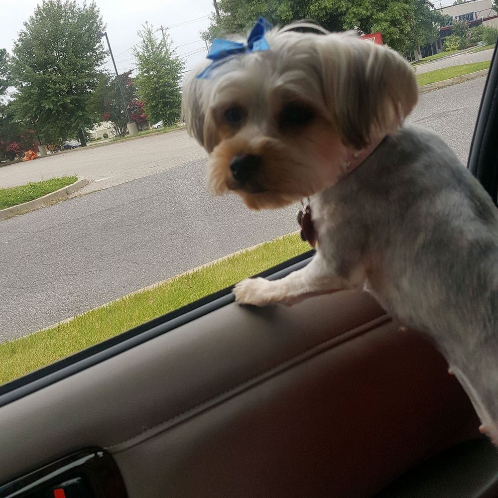 Meet your Posher, Marquitta