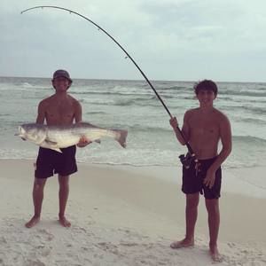 Meet your Posher, Bryant