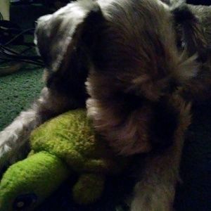 Meet your Posher, Debbie