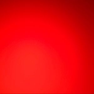 Meet your Posher, Fiorella