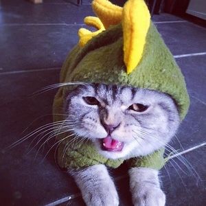 Meet your Posher, Kellie