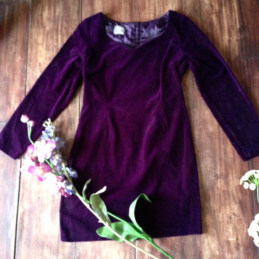 Vintage Velvet Dress