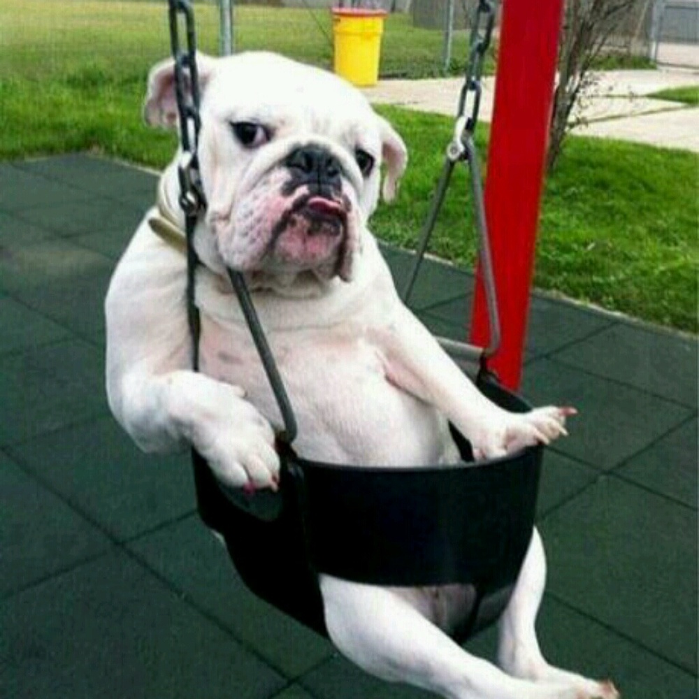 Meet your Posher, Ale