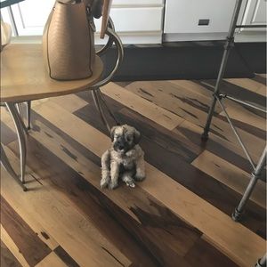 Meet your Posher, Alejandra