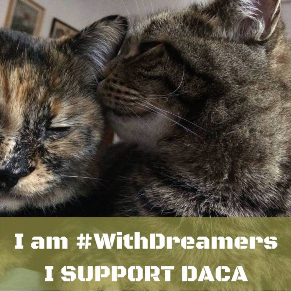 Meet your Posher, Becky