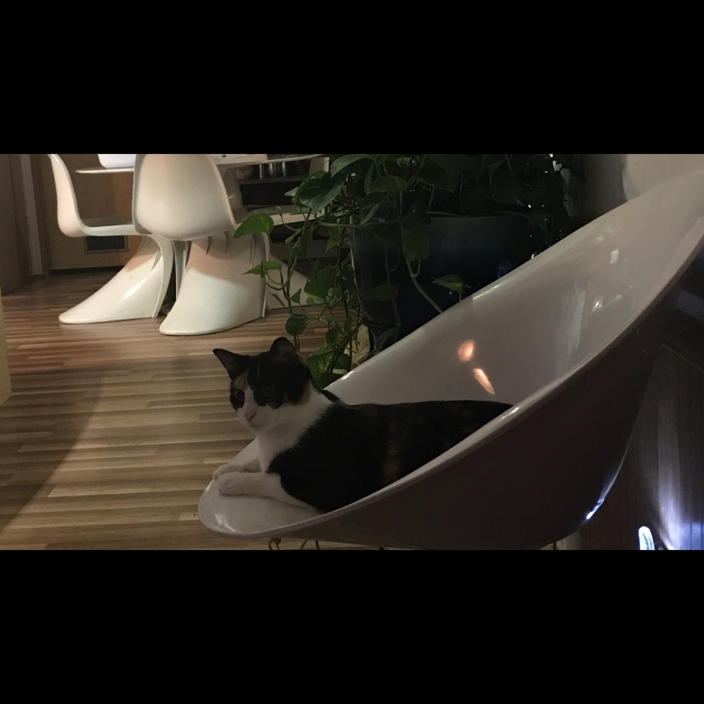 Meet your Posher, Marco