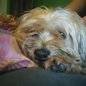 Meet your Posher, Evelyn