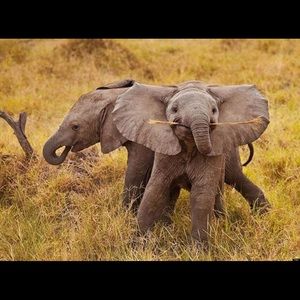 Meet your Posher, Jacob