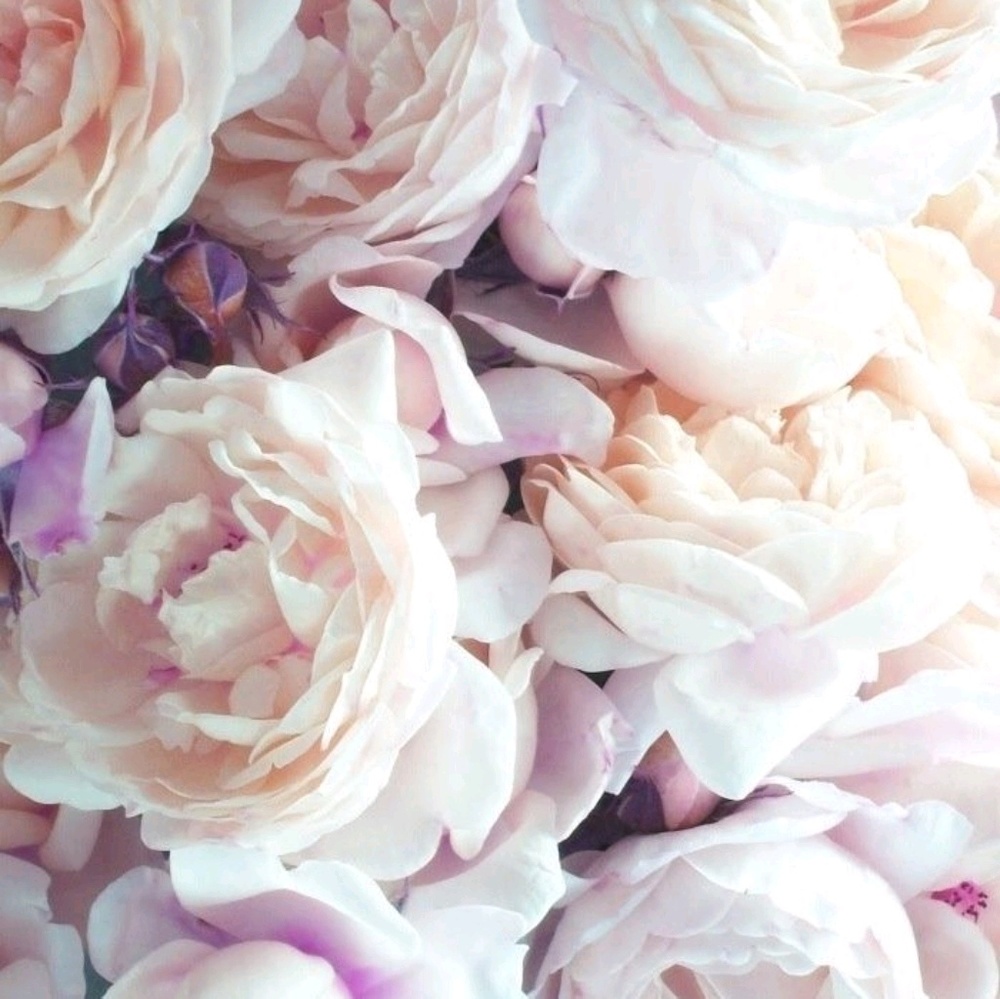 Meet your Posher, Adrienne