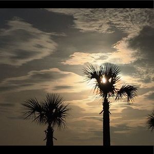 Meet your Posher, Breanna