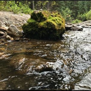 Meet your Posher, Vikixgz