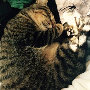 Meet your Posher, Jessica