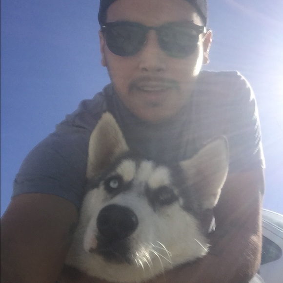 Meet your Posher, Joey - Picture 1 of 1