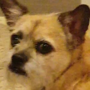 Meet your Posher, Alysa