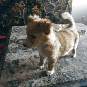 Meet your Posher, Ruby