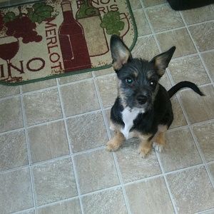 Meet your Posher, Sue