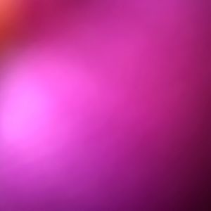 Meet your Posher, Arianna