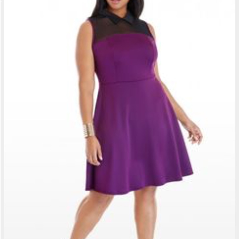 FTF Purple Collared Dress Reese