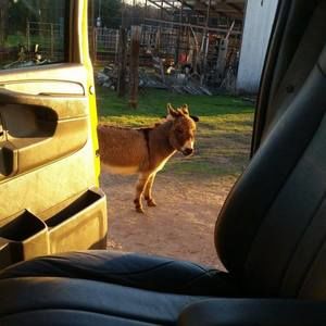 Meet your Posher, Drew