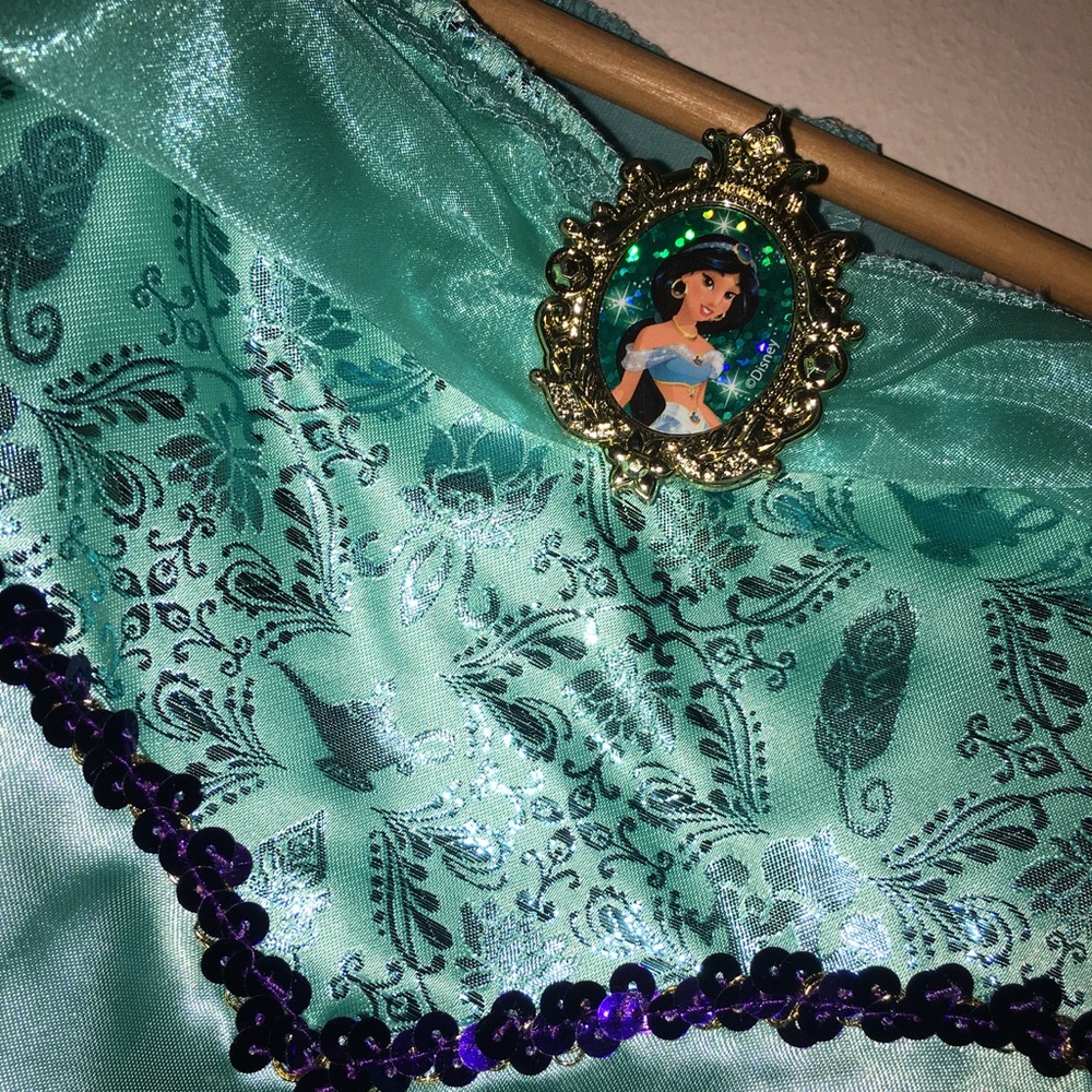 Princess Jasmine costume