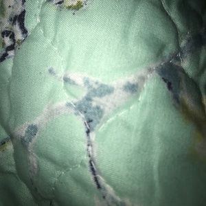 Meet your Posher, Jyo