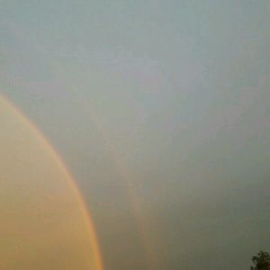 Meet your Posher, Tonya