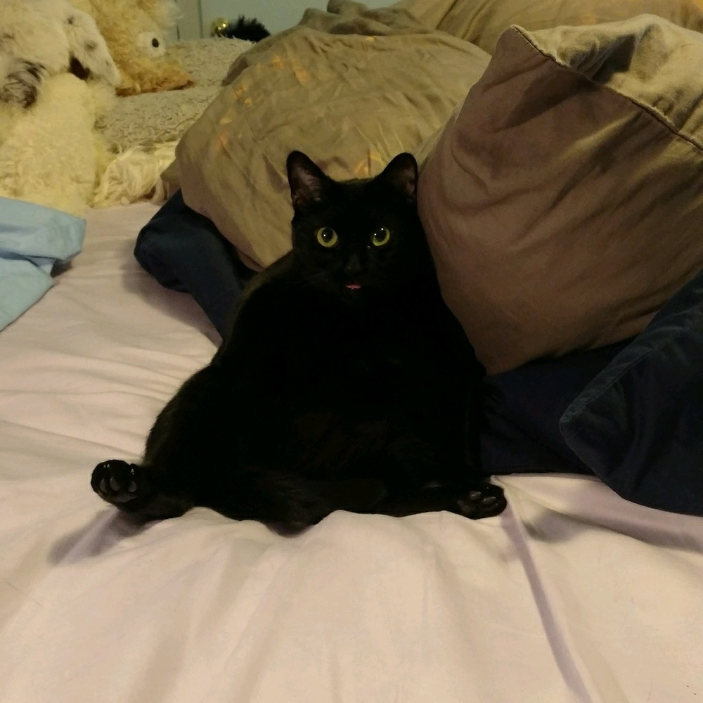 Meet your Posher, Sarah