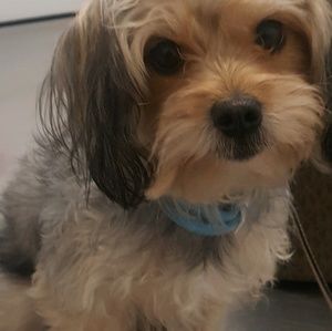 Meet your Posher, Sheila