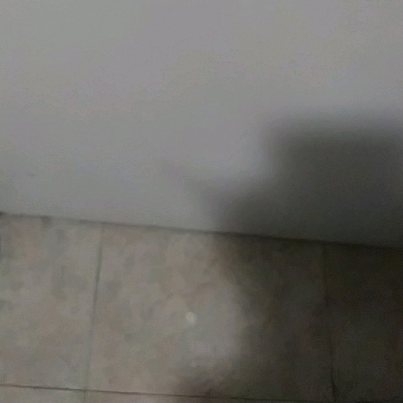 Meet your Posher, Ray - Picture 1 of 1