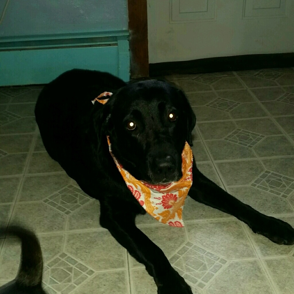 Meet your Posher, @UniqBotiq!!