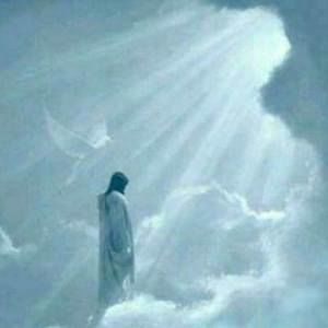 Meet your Posher, Renee marshall