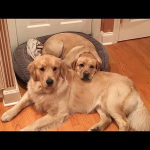 Meet your Posher, Maryanne