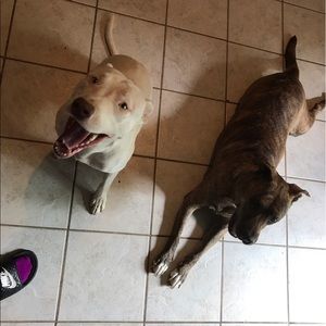 Meet your Posher, Ray