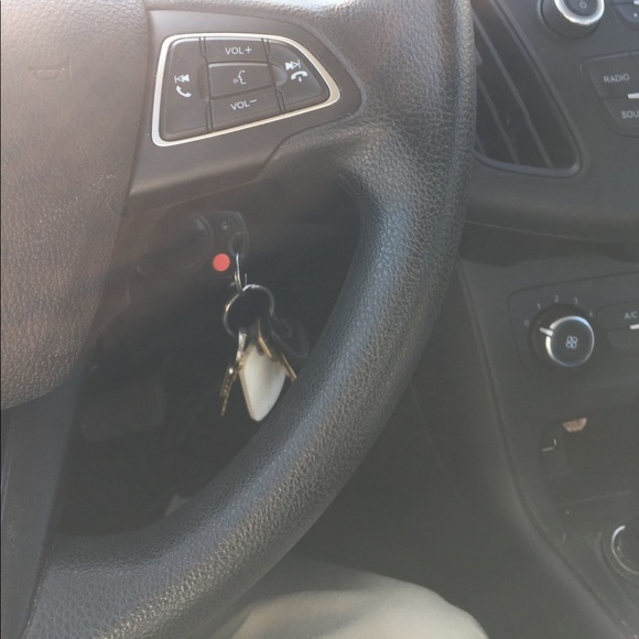 Meet your Posher, Steve - Picture 1 of 1