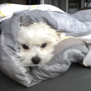 Meet your Posher, Jamie