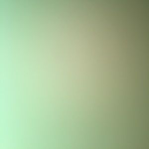 Meet your Posher, Esme