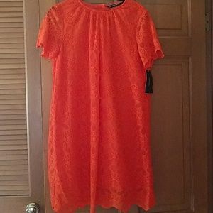Zara short sleeve lace dress NWT