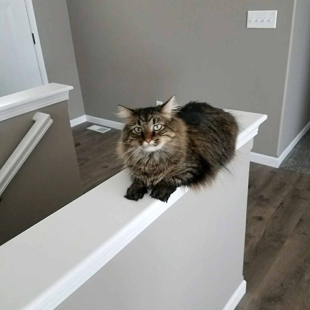 Meet your Posher, Michaela