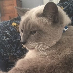 Meet your Posher, Grant