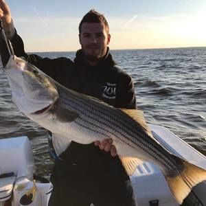 Meet your Posher, Troy