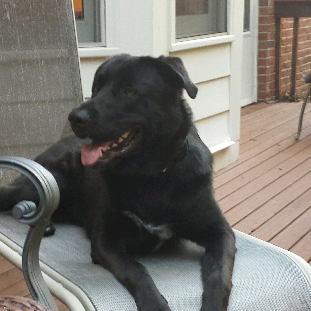 Meet your Posher, Greg